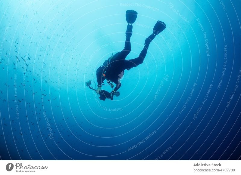 Taucher beim Fotografieren von Fischen unter Wasser Schule fotografieren Fotoapparat Sinkflug erkunden Hobby MEER Neoprenanzug schwimmen tief aqua viele