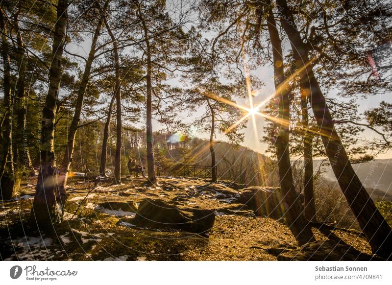 Winterlandschaft im Wald mit Paar auf Bank sitzend bei Sonnenuntergang in goldenem Licht, Mullerthal, Luxemburg goldene Stunde Schnee reisen Landschaft Natur