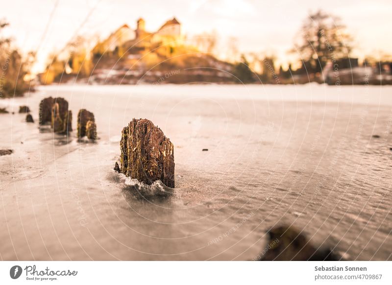 alte morsche Holzpfähle auf zugefrorenem See im goldenen Licht, Bad Iburg, Deutschland Winter Eis Pfosten Natur Landschaft Hintergrund Schnee Horizont Himmel