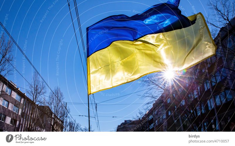 wehende ukrainische Flagge mit strahlender Sonne im Gegenlicht. Stadt Ukraine Nationalflagge strahlende Sonne Sonnenstrahlen Ukrainekrieg Politik & Staat Stolz
