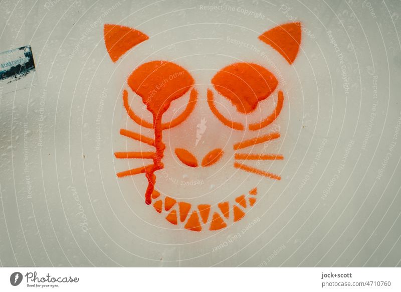 tränendes Auge bei aufgespürter Katze stencil Schablonenkunst Straßenkunst Kreativität Graffiti Farbverlauf orange Stil Comic Hintergrund neutral Farbnasen