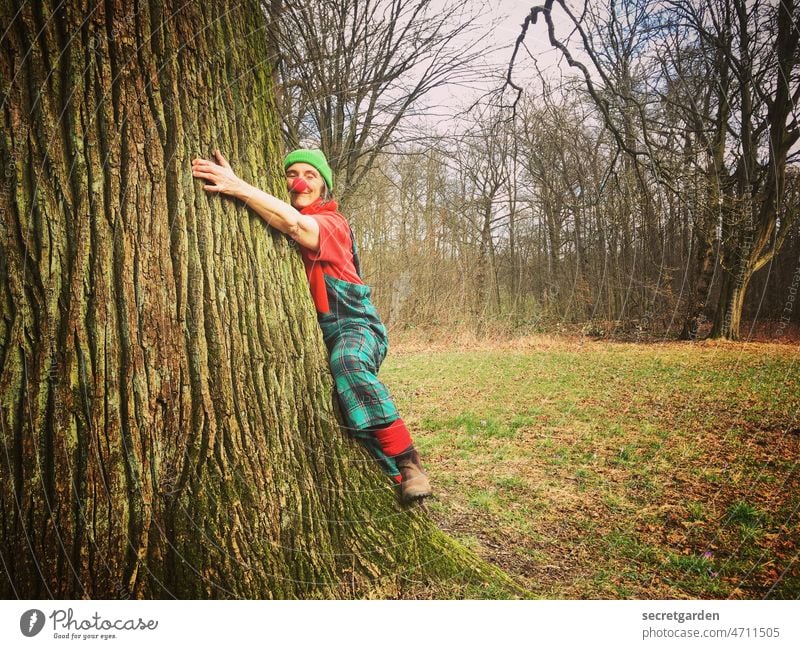 [Clown+Fun-Tour HH2022] Niedliche, anhängliche Klette, die sich am Baum wärmt Humor lustig Stamm Baumstamm Eiche umarmen Liebe lächeln grün Wald Natur