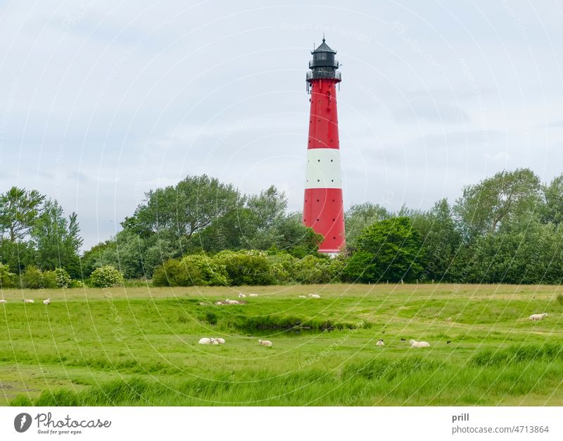 Leuchtturm auf Pellworm Leuchtfeuer nordfriesland Friesland Deutschland Nordsee Norddeutschland Turm Küste See Teich Gras Vegetation Baum Architektur Gebäude
