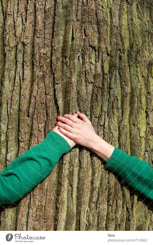 Hand in Hand Hände zusammen berühren Umfassend Baum Baumliebe nahestehend festhalten Liebe Geborgenheit Gefühle gemeinsam Zusammenhalt Zusammensein Sicherheit