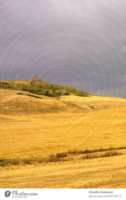 Ländliche Landschaft in der Basilikata, Italien, im Sommer Europa Gravina Melfi Potenza Apulien Ackerbau Klimawandel Farbe Tag Feld Natur im Freien Fotografie