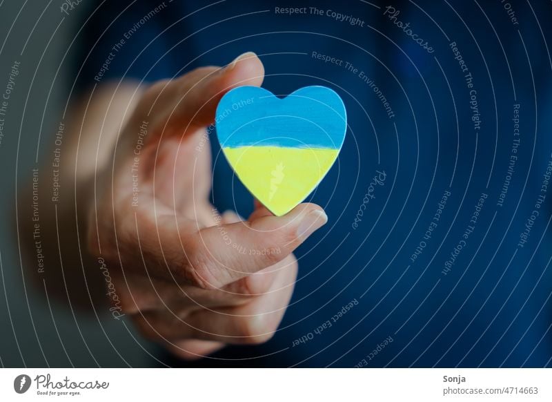 Mann hält ein Herz mit den Nationalfarben der Ukraine Nationalflagge Frieden Hoffnung Solidarität Friedenswunsch Symbole & Metaphern Politik & Staat blau gelb