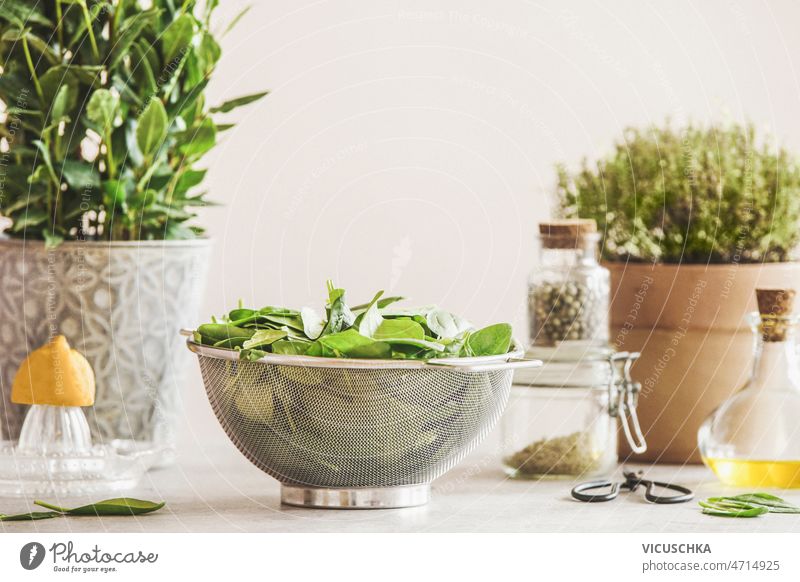 Rohe Spinatblätter in einem Sieb mit Zutaten roh Blätter eingetopft Küchenkräuter Zitrone Olivenöl grün Paprika Kräuterbuch Salz Glasgefäß Tisch weiß Wand