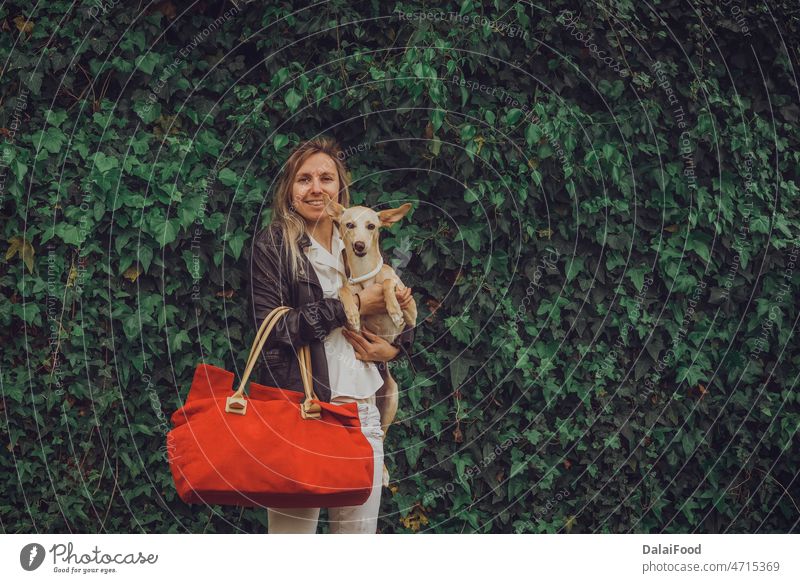 Mädchen und Hund mit rotem Koffer freuen sich auf den Urlaub Tier Hintergrund Tasche Gepäck schön Eckzahn Konzept niedlich Freund lustig Glück Feiertag