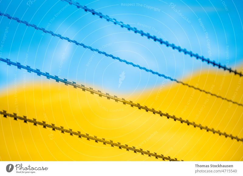 Stacheldraht und Farben der ukrainischen Flagge als Symbol für Flüchtlinge durch die russische Invasion in der Ukraine Hintergrund mit Stacheln versehen blau