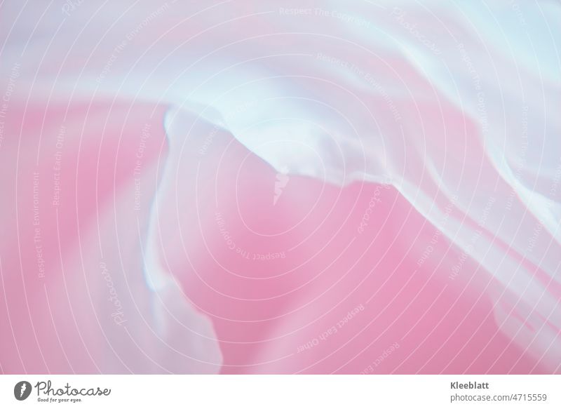 Nahaufnahme einer Rosenblüte in Rosa - Unschärfe künstlerisch Kunst Filter stark bearbeitet rosa Töne Struktur Hintergrundbild Wellen Kontrast abstrakt Konzept