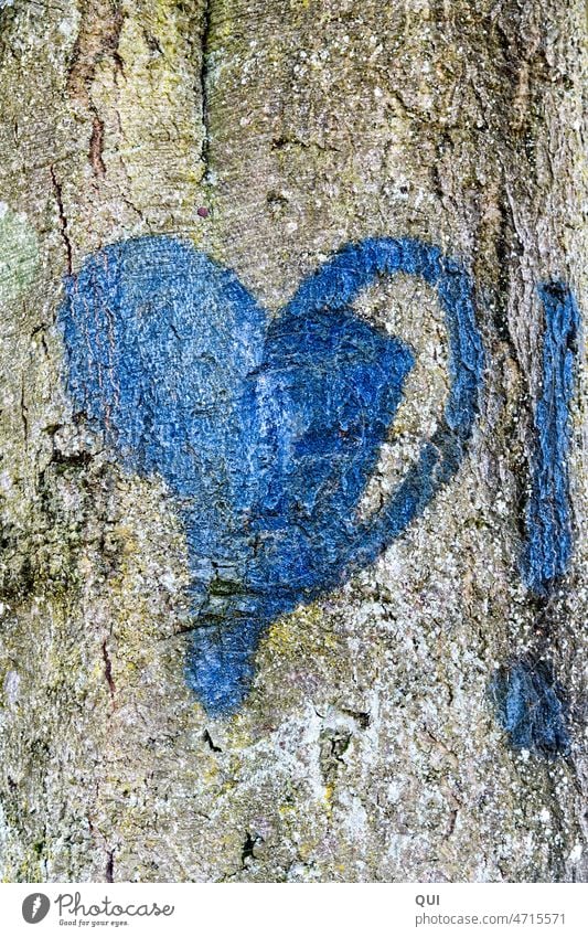Das blaue "Herz!"  ... Baumrinde Baumstamm Buche Natur Stamm Holz Symbol Liebe Zeichen Ausrufezeichen Graffiti Gefühle Verliebtheit Liebeserklärung