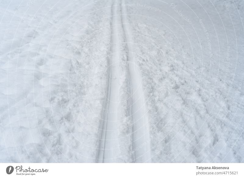 Skispur im Winterwald Schnee Wald Bahn Natur Baum weiß Sport Estland im Freien Landschaft Frost gefroren kalt Nachlauf Erholung Wetter Norden bedeckt Straße