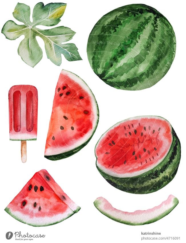Scheiben von roten saftigen Wassermelone und Eis. Aquarell tropische Früchte Illustration botanisch geschnitten Dekoration & Verzierung Element exotisch