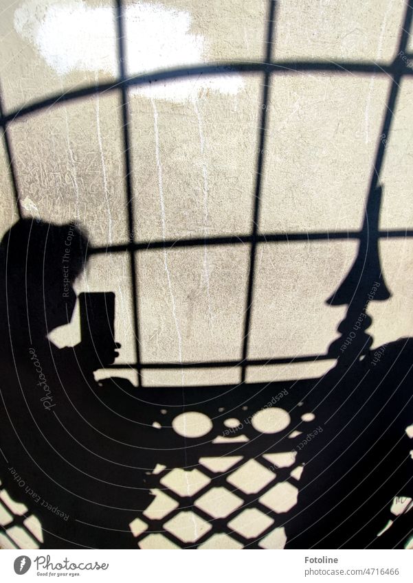 Schattenwelten III - Schatten eines Zauns mit Ecken, Kanten, Linien, Rundungen und mir auf einer verputzten Wand Licht Licht & Schatten Sonnenlicht Kontrast