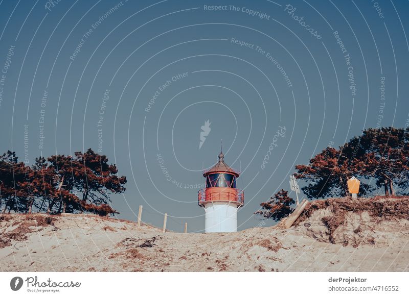 Düne auf Hiddensee mit Leuchtturm Ganzkörperaufnahme Tierporträt Porträt Panorama (Aussicht) Totale Zentralperspektive Starke Tiefenschärfe Sonnenstrahlen