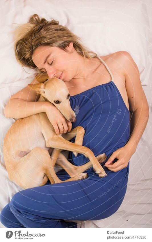 Frau mit ihrem Windhund im weißen Bett bezaubernd Tier Schlafzimmer Kaukasier niedlich Hund heimisch Freund Freundschaft Mädchen Glück menschlich Liebe Lügen