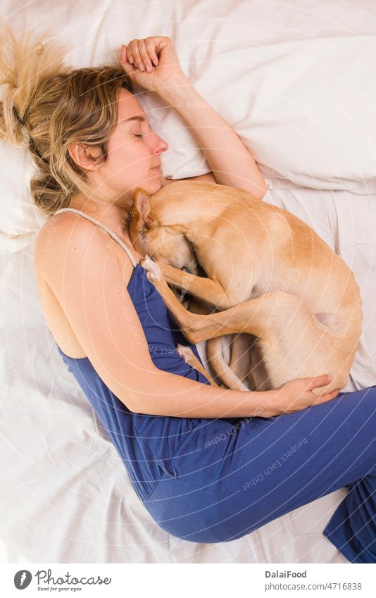Frau mit ihrem Windhund im weißen Bett Tier attraktiv Hintergrund schön Schlafzimmer Decke Kaukasier niedlich Hund träumen Müdigkeit Freundschaft Mädchen Glück