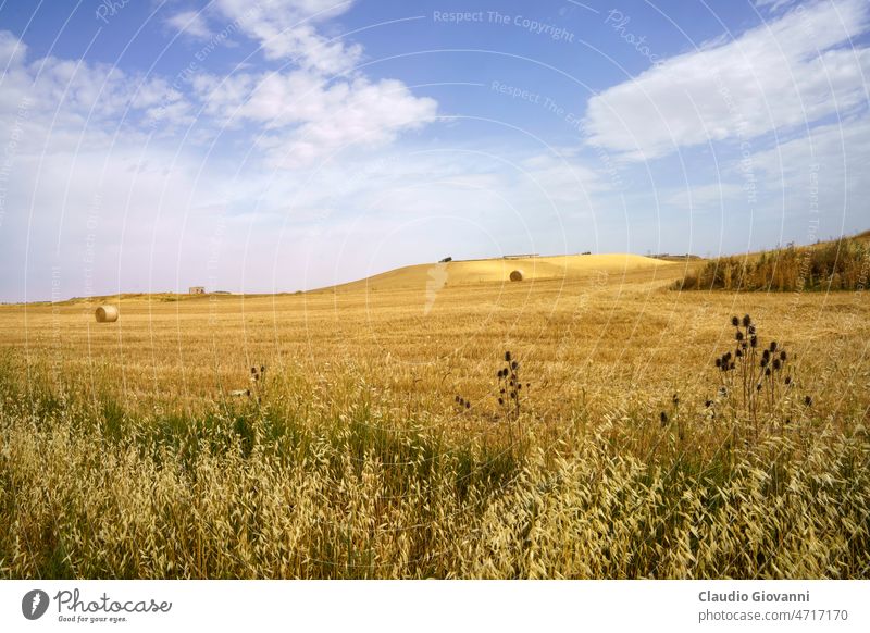 Ländliche Landschaft bei Matera und Gravina di Puglia Basilikata Europa Italien matera Ackerbau Ballen Farbe Tag Feld Natur im Freien Fotografie Straße ländlich