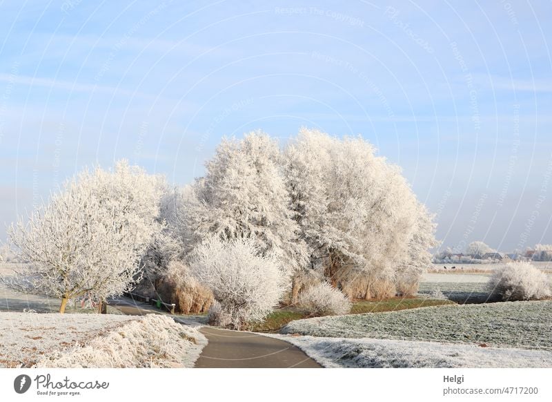 Raureif-Wintermorgen - Bäume, Sträucher und Felder mit Raureif bedeckt im Sonnenlicht Winterzauber Wiese Weg Himmel Frost Kälte schönes Wetter Sonnenschein