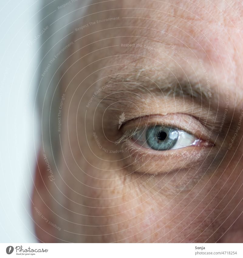 Nahaufnahme von einem männlichen grauen Auge Mann Pupille Detailaufnahme Iris Regenbogenhaut Haut Sehvermögen Linse Sinnesorgane Augenbraue Wimpern Blick Falte