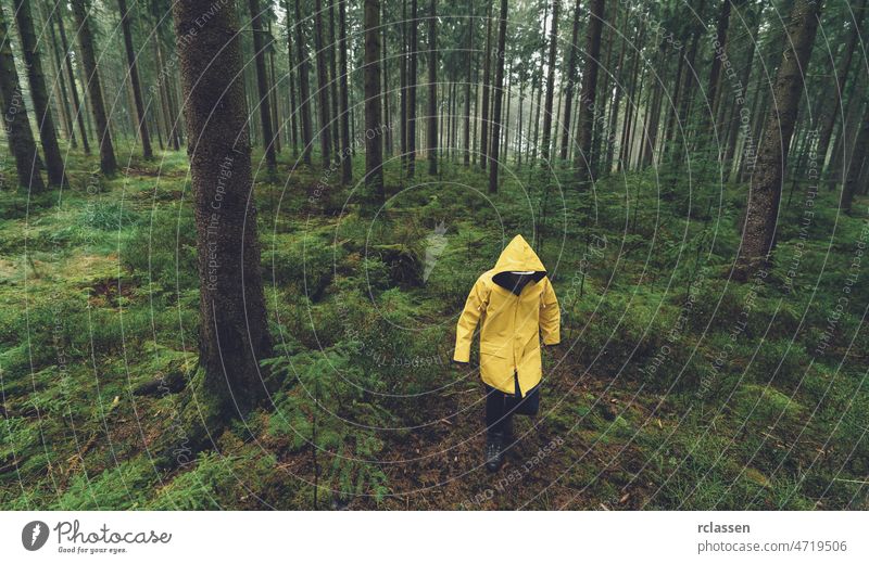 Wanderer mit gelber Regenjacke geht im nebligen Wald spazieren Herbst Regenmantel böse märchenhaft Angst Wanderung wandern einsam Stimmung Weg Reisender
