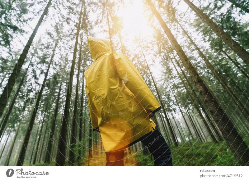 Mann mit gelber Regenjacke schaut zu den Baumwipfeln in einem Wald Herbst Regenmantel böse märchenhaft Angst Wanderung wandern einsam Stimmung Weg Reisender