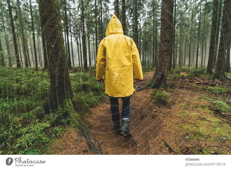Wanderer mit gelbem Regenmantel geht in den Wald im Herbst böse märchenhaft Angst Wanderung wandern einsam Stimmung Weg Reisender Tierwelt Waldgebiet Nebel