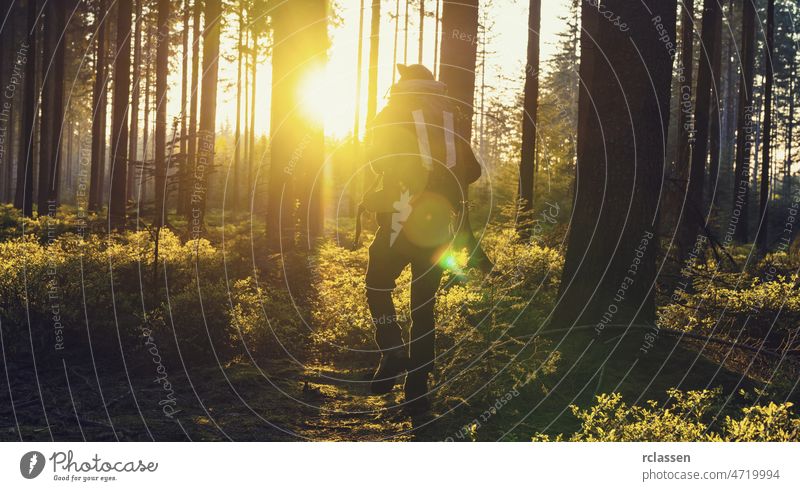 Reisender Mann, der allein im Wald spazieren geht - Travel Lifestyle emotionales Konzept Natur Landschaft Frühling Sonne Sonnenlicht Baum Sommer Nadelholz