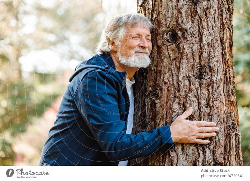 Zufriedener älterer Mann, der einen Baum im Wald umarmt Umarmung Augen geschlossen Umarmen Natur Herbst Windstille Harmonie Senior männlich gealtert Landschaft