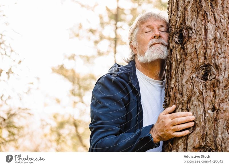 Zufriedener älterer Mann, der einen Baum im Wald umarmt Umarmung Augen geschlossen Umarmen Natur Herbst Windstille Harmonie Senior männlich gealtert Landschaft