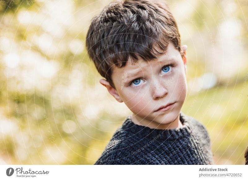 Niedlicher kleiner Junge mit Sommersprossen schaut in die Kamera Kind Wald niedlich wenig Porträt charmant Vorschein Natur Windstille Kindheit
