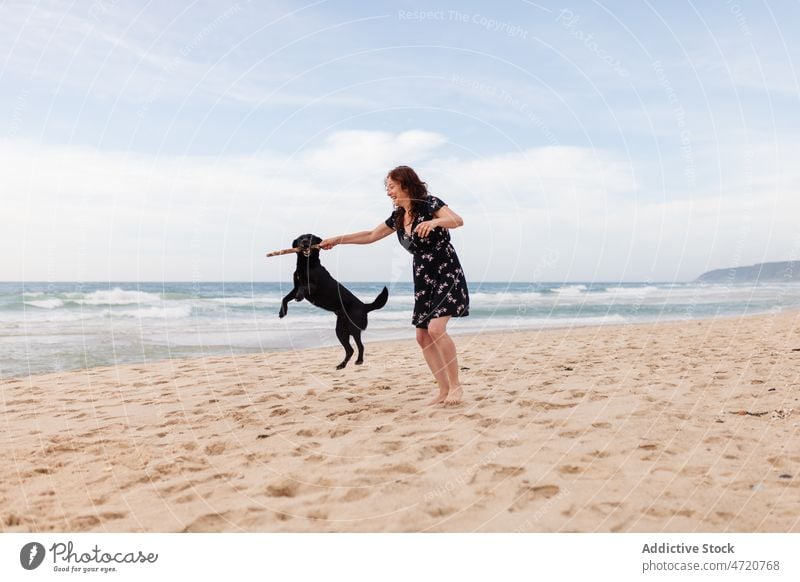 Optimistische Frau spielt mit Hund am Ufer MEER Spaß haben Haustier Strand Zeitvertreib Spiel spielen kleben Ausflug Erholung Tier Tourist Freiheit spielerisch