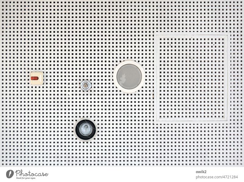 Deckengemälde Muster abstrakt Schwarzweißfoto Detailaufnahme Strukturen & Formen Innenaufnahme Design Wanddekoration bizarr schwarz oben Zimmerdecke