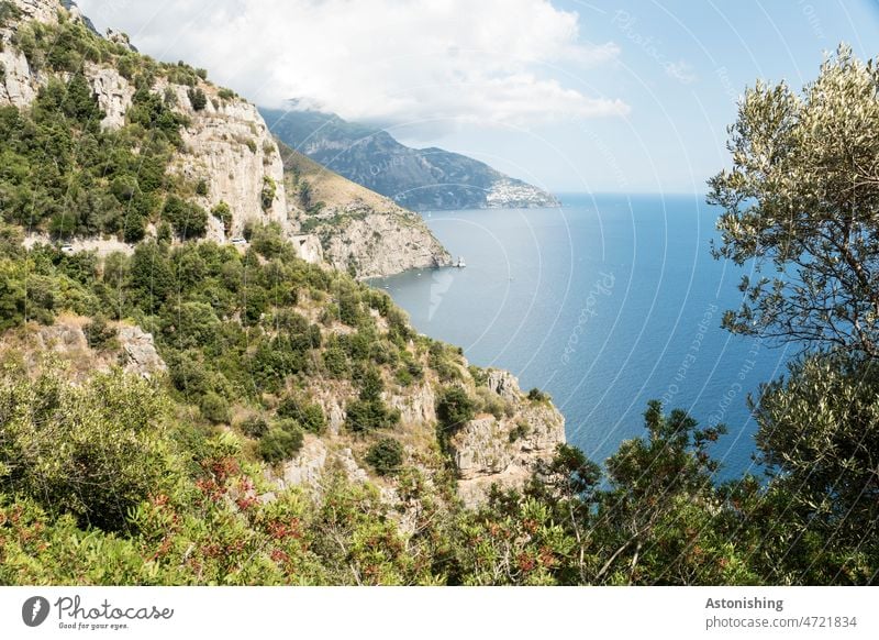 Amalfiküste Kampanien Italien Meer Küste Landschaft Natur Sträucher Bäume trocken blau Horizont Wolken Aussicht Weite Ufer weiß Stein Felsen Blätter Laub Äste