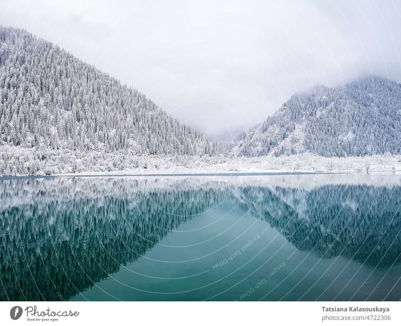 Die mit Bäumen und Schnee bedeckten Berge spiegeln sich symmetrisch im türkisfarbenen Wasser des Sees Winter kalt gefroren kühl Kälte Winterzeit Frost