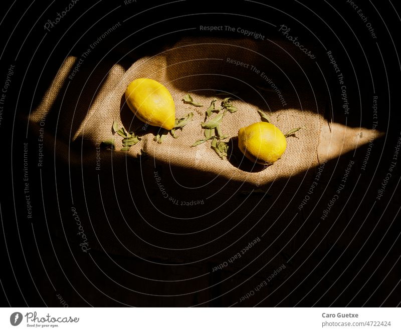 Stillleben mit Zitronen der Saison redaktionell Essensfotografie natürliches Licht Fensterbeleuchtung luz natürlich Bodegón Lebensmittelfotografie Frucht
