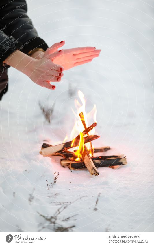 Ausgeschnittenes Foto einer jungen Frau, die ihre Hände am Lagerfeuer im Winterwald wärmt. Nahaufnahme im Freien Schnee Wald warm Feuer kalt Natur reisen
