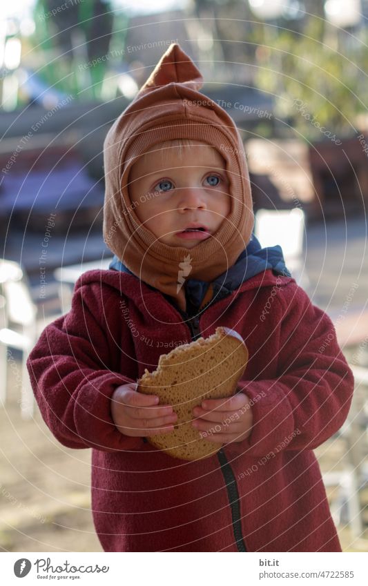 Kleiner Bub mit großem Brot l Brotscheibe in Hand schaut gespannt, fragend, interessiert l mit Zipfelmütze in die Welt l Kind Mensch Gesicht Junge Scheibe