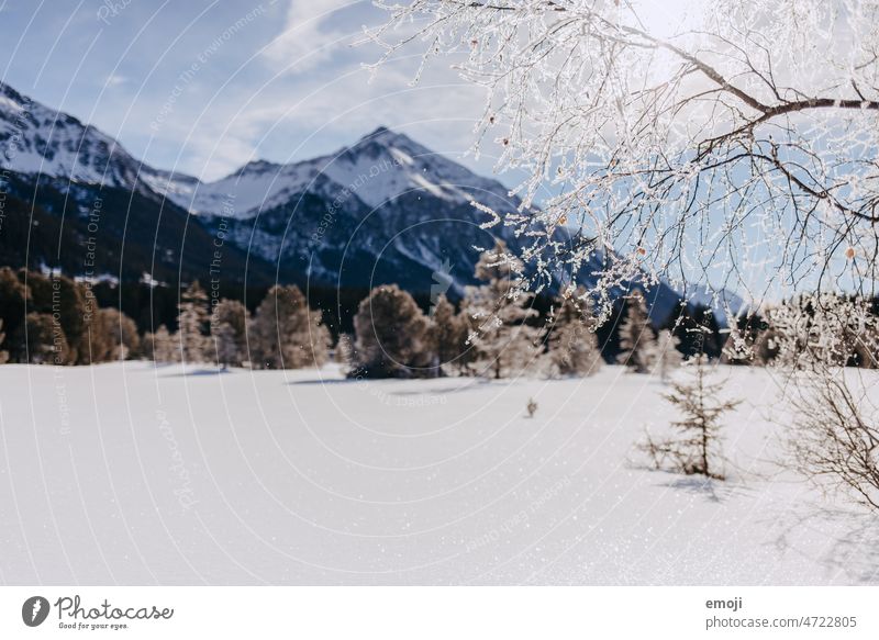 zugefrorener Heidsee in der Lenzerheide im Winter heidsee winter lenzerheide schnee eis kälte blauer himmel schönes wetter tourismus schweiz bäume frost sonnig