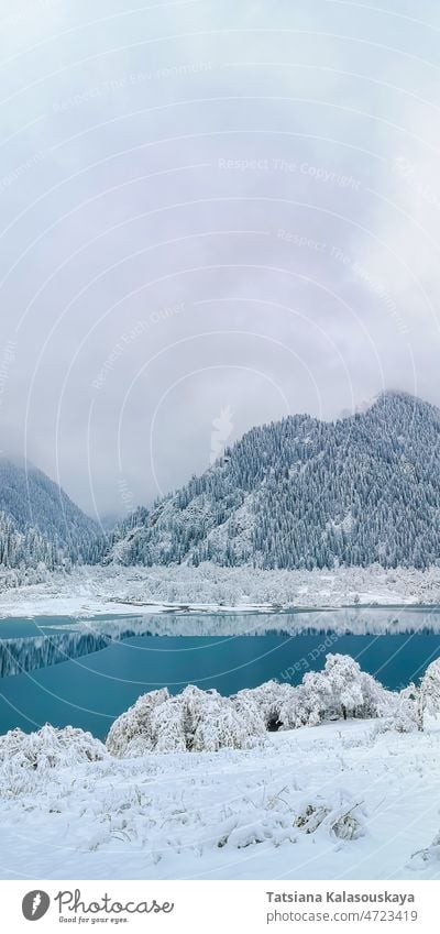 Türkisfarbener See zwischen Bergen, Schnee und Wolken Wald Nebel Eis Issyk Kasachstan Almaty Mittelasien Norden niemand keine Menschen keine Person Umwelt kalt