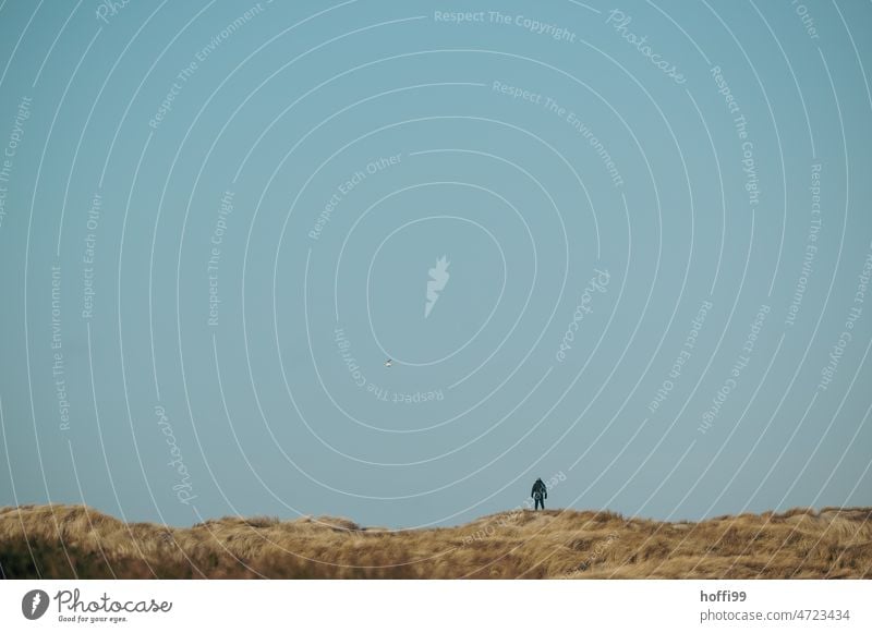 Ein Mensch steht allein  auf einer Düne und blickt in die Ferne Erholung durchatmen Dänemark Dünengras Herbst Winter wehen wind Silhouette Natur Sand Meer
