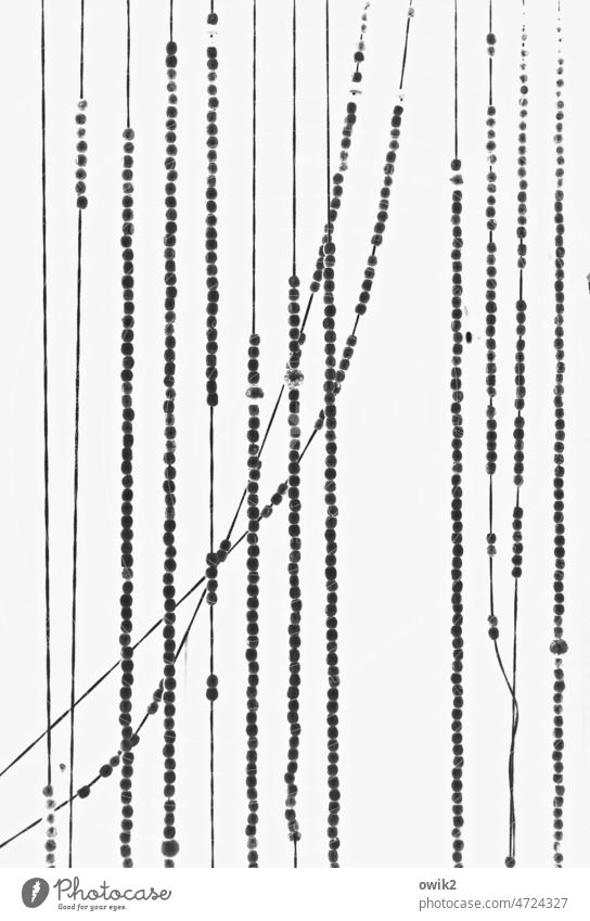 Negativstreifen Vorhang Perlenkette Schnur Holzperle Dinge hängen viele ruhig Zusammensein Schwarzweißfoto Menschenleer Strukturen & Formen Totale Gardine