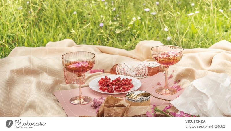Picknick mit Sektgläsern, Wein, Käse und roten Johannisbeeren auf einer hellbeigen Decke im Gras. Champagnergläser rote Johannisbeeren blass im Freien Idee