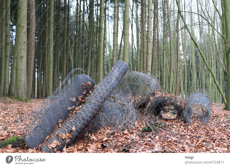 ausgedient - mehrere große Rollen Maschendraht liegen im Wald Draht Waldboden Laub Bäume Unrat Umweltverschmutzung Winter kahl Außenaufnahme Menschenleer grau