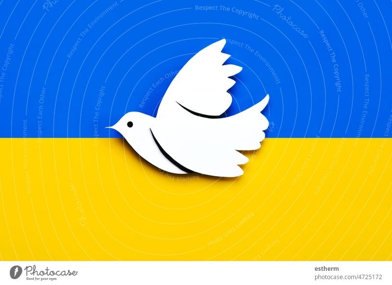 Nationale Flagge der Ukraine Hintergrund mit einer Taube des Friedens. Kein Krieg Konzept Selbstständigkeit Regierung Welt Zustand Europa Russland Friedenstaube