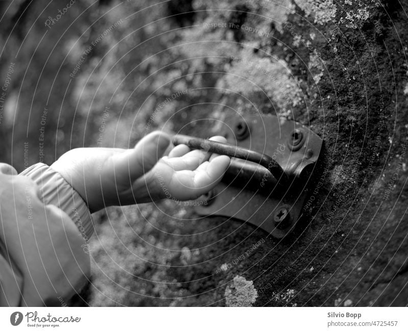 Die Hand des Kindes auf dem Stein Kinderhand Handgriff Finger Junge Natur Spielen Kindheit Detailaufnahme Nahaufnahme Mensch festhalten 3-8 Jahre 1-3 Jahre