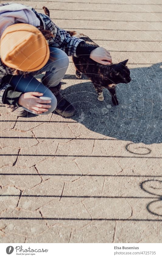 Sonniger Tag wir treffen eine Straßenkatze Katze Fell fluffig schatten Frühling herbst frisch kalt im Freien Garten Ein Tier Vorder- oder Hinterhof streichln