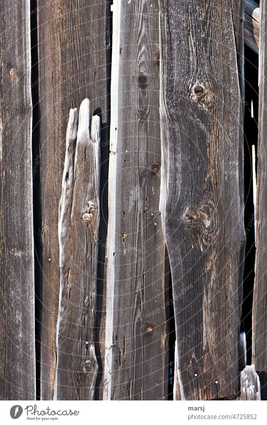 Bretter mit weißem Rand. Holz braun Holzbrett Muster Maserung Kontrast Farbfoto verwittert Patina Strukturen & Formen regelmässig Holzwand einzigartig