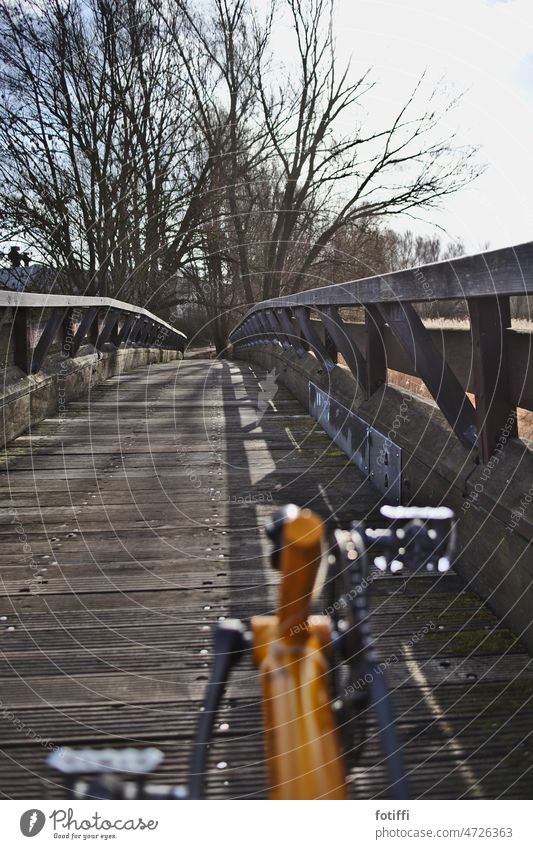 Mit dem Liegerad über eine Holzbrücke der Sonne entgegen Fahrrad Fahrradfahren Brücke radeln unterwegs Bewegung umweltfreundlich Fahrradweg Außenaufnahme