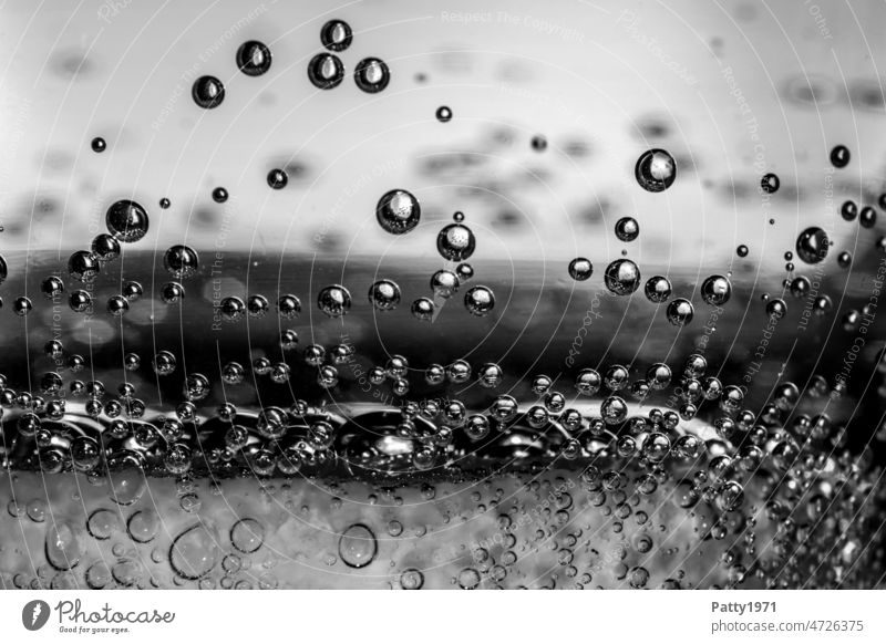 Luftblasen steigen auf Wasser Nahaufnahme s/w b/w Schwarzweißfoto Makroaufnahme ruhig schweben treiben rund klar unter Wasser